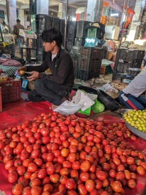 Price-Stabilisation-Govt-starts-tomato-sale-at-subsidised-rate-of-60-rupees-kg-in-Delhi