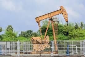 Earnings-Guideline-ONGC-standalone-FY25-capex-may-be-about-320-bln-rupee-says-co-mgmt