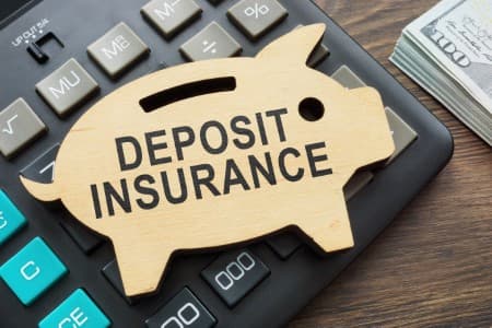 Tectonic-Shifts-Deposit-insurers-must-stay-ready-for-fintech-challenges-says-RBI-Patra