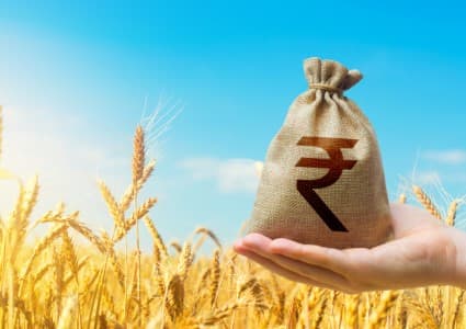 Wheat-conference-sees-experts-divided-on-need-to-import-cereal