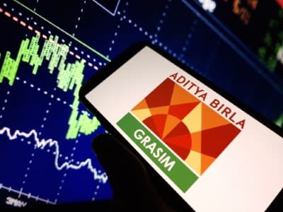 Analyst-Concall-Grasim-eyes-high-single-digit-share-in-India-paints-mkt-FY25