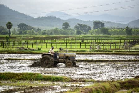 Crop-Report-India-s-rabi-acreage-so-far-up-0-4-37-on-year-at-55-9-mln-ha