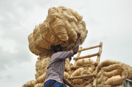 MSP-Hike-Cabinet-okays-hike-in-jute-MSP-for-2025-26-season-by-6-37-to-INR-5-650-100-kg