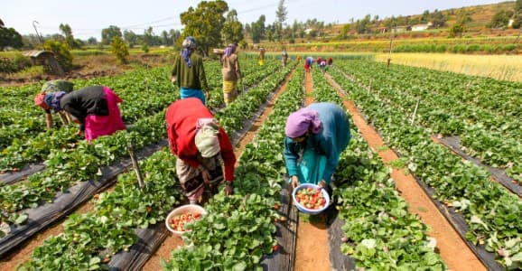CPI-AL-inflation-falls-to-40-month-low-of-3-73-37-in-March