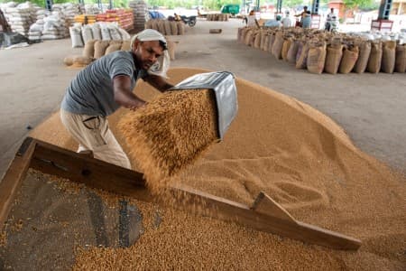 Wheat-stock-limits-aimed-at-pre-empting-price-volatility-say-govt-sources