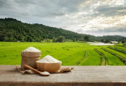 Rice-Sale-FCI-starts-rice-open-market-sales-for-2025-26-at-revised-reserve-prices