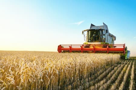 Crop-Report-India-kharif-sowing-up-1-4-37-as-of-Fri-oilseed-cotton-acreage-down