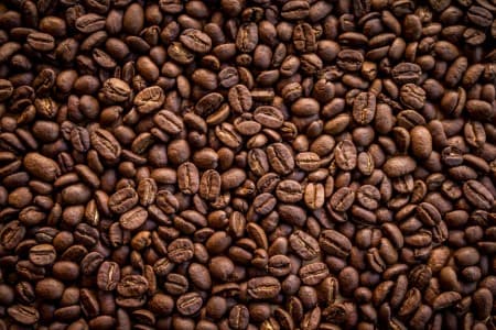 Coffee-Production-Coffee-Board-pegs-India-s-coffee-output-at-403-000-tn-in-2025-26-up-11-37-YoY