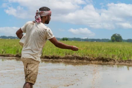 Kharif-Output-Projection-Govt-may-release-first-advance-estimate-for-kharif-2025-26-season-post-Diwali-says-official