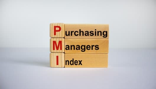 Data-Alert-India-private-sector-activity-growth-at-5-month-low-flash-PMI-shows