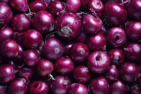 Ample-stocks-low-exports-to-keep-onion-prices-below-INR-2-000-100-kg
