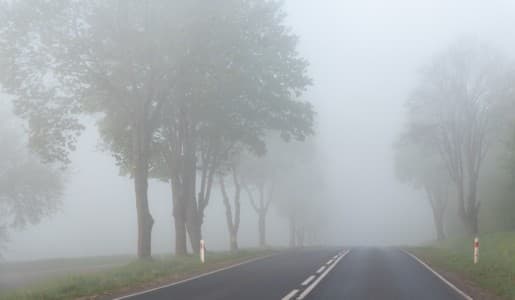 Weather-Forecast-IMD-sees-dense-to-very-dense-fog-in-parts-of-northwest-India-till-Monday