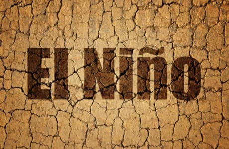 Warmer-Weather-El-Nino-in-2026-may-push-global-temperatures-to-record-high-in-2027-says-Skymet