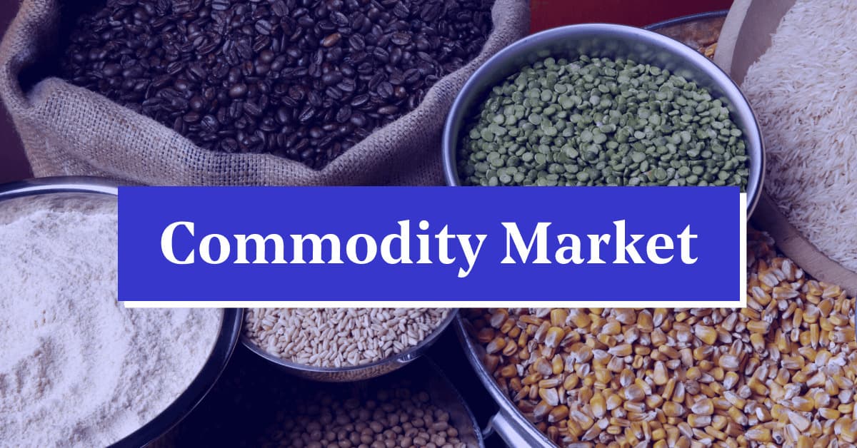 Commodity-Participation-Experts-say-raising-special-investment-fund-capital-can-lift-commodity-participation