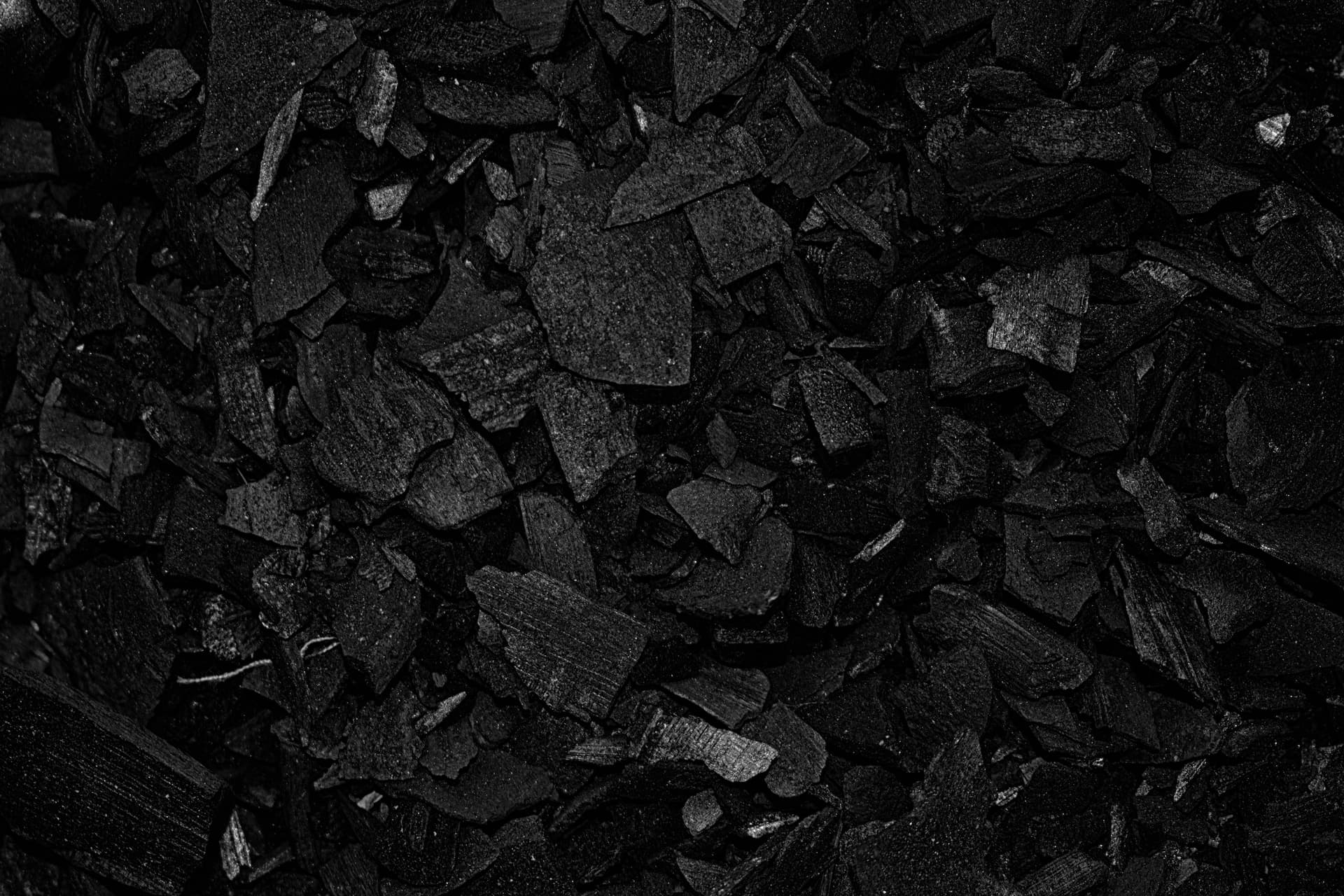 Coal-Sales-Output-Coal-India-Sept-sales-rise-over-12-37-on-year-output-increases-9-37-